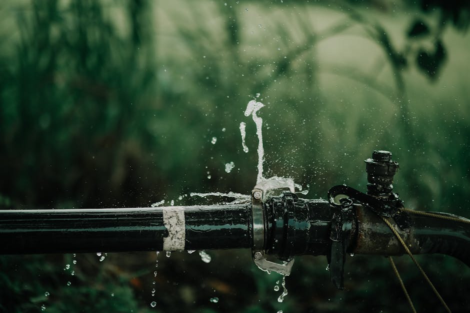 Common Plumbing Problems in UK Homes and When to Call a Professional